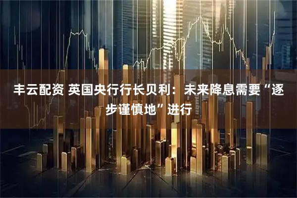 丰云配资 英国央行行长贝利：未来降息需要“逐步谨慎地”进行