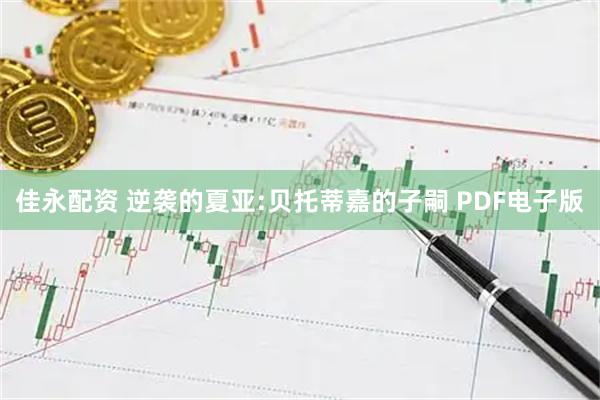 佳永配资 逆袭的夏亚:贝托蒂嘉的子嗣 PDF电子版