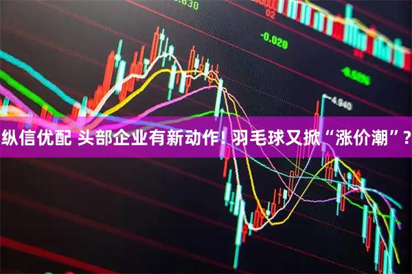 纵信优配 头部企业有新动作! 羽毛球又掀“涨价潮”?