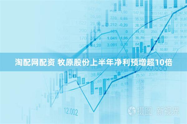 淘配网配资 牧原股份上半年净利预增超10倍