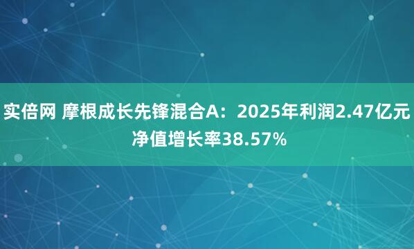 实倍网 摩根成长先锋混合A:2025年利润2.47亿元 净值增长率38.57%